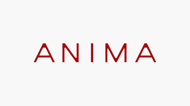 正解するカド Anima Inc 正解するカド Anima Inc
